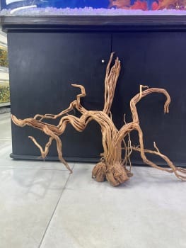 Drift Wood